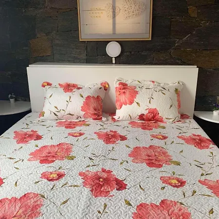 Casa Da Ruela No Rodo * 比索达雷加