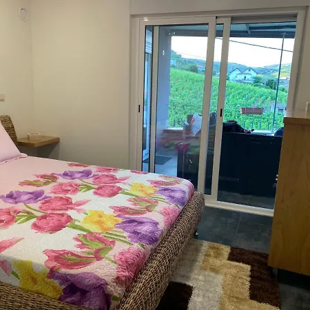 Casa Da Ruela No Rodo