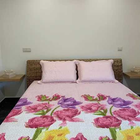 Casa Da Ruela No Rodo Apartamento *