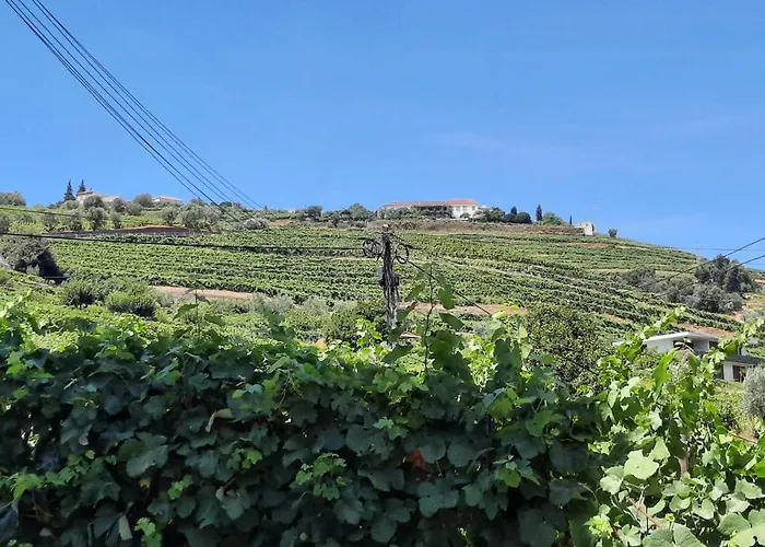 Apartamento Casa Da Ruela No Rodo *