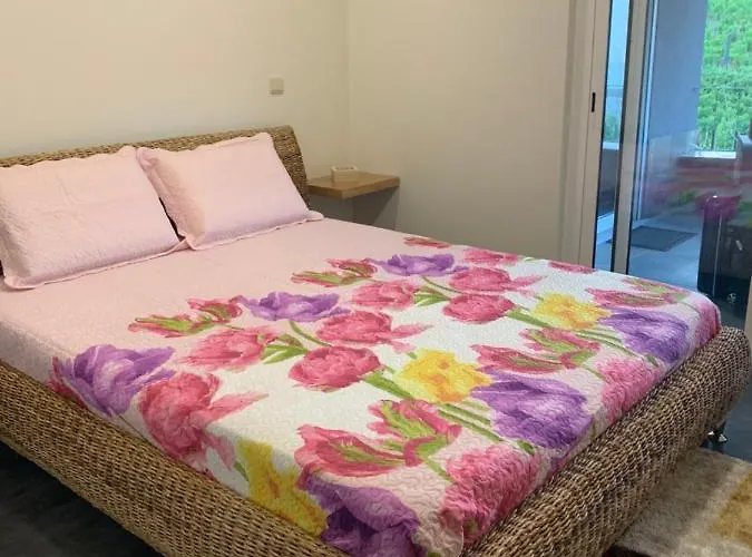 Apartamento Casa Da Ruela No Rodo *